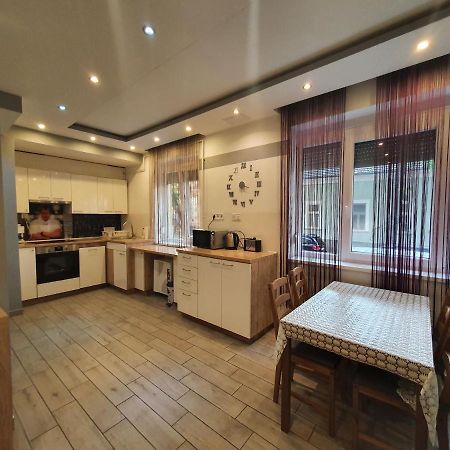 Apartament Viola Apartman With Infra Sauna Segedyn Zewnętrze zdjęcie