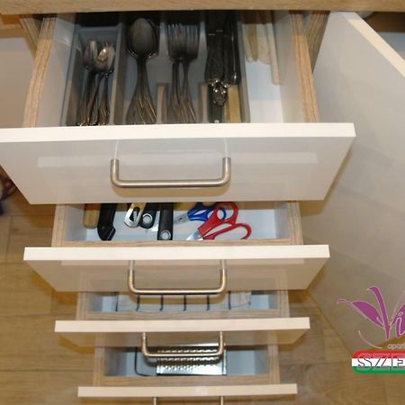Apartament Viola Apartman With Infra Sauna Segedyn Zewnętrze zdjęcie